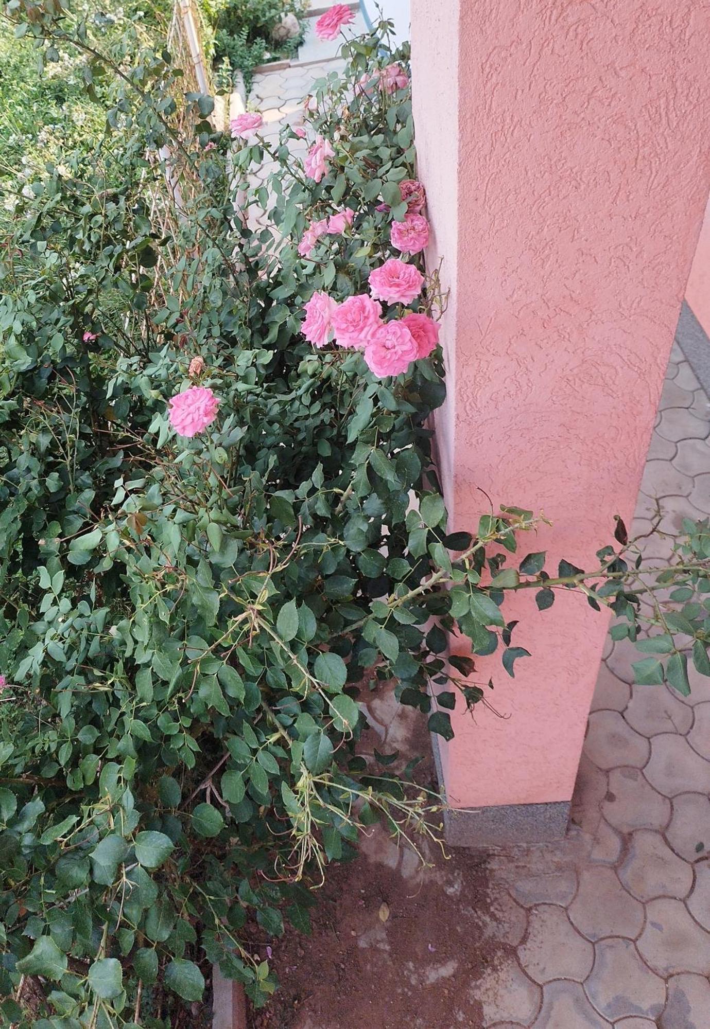 Apartman Leki SJJ Exterior foto
